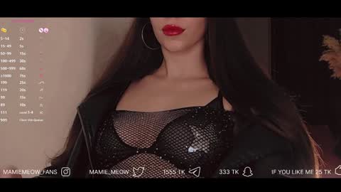 Snapshot of mamiemeow chatting on 01/25/25, 03:30 Your Miss Alice online show from 01/25/25, 03:30