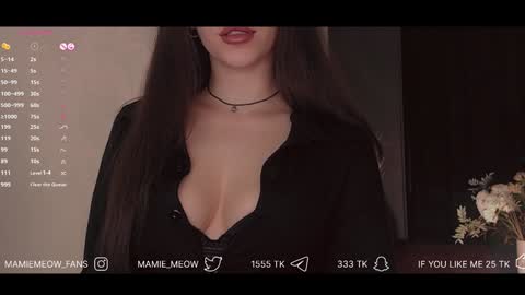 Snapshot of mamiemeow chatting on 01/31/25, 10:42 Your Miss Alice online show from 01/31/25, 10:42