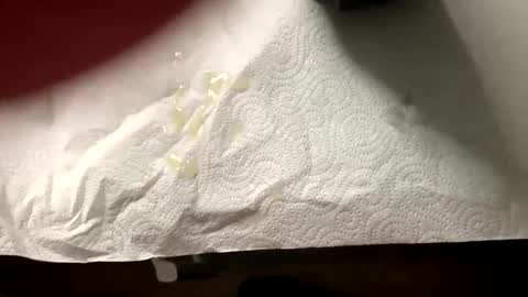 Snapshot of man4you888 chatting on 02/20/25, 03:08 man4you888 online show from 02/20/25, 03:08