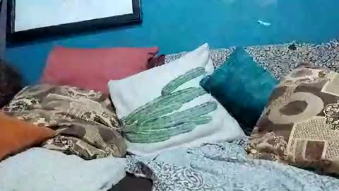 Snapshot of mandrilo7379 chatting on 06/22/26, 06:32 mandrilo7379 online show from 06/22/26, 06:32