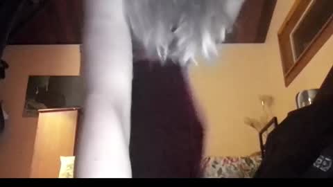 mangoseeed online show from 11/01/25, 11:12