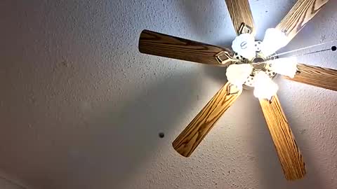 Jan and Man online show from 02/01/26, 05:17