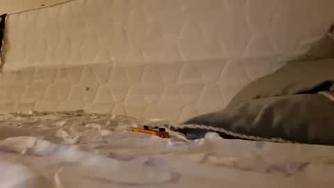 Jan and Man online show from 03/17/26, 03:33