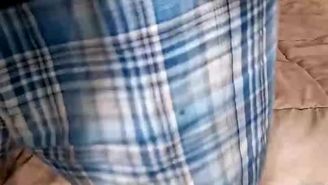 Dickinabox online show from 09/14/25, 09:47