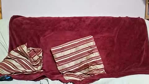 Snapshot of manlymanson chatting on 02/04/26, 02:23 Dickinabox online show from 02/04/26, 02:23