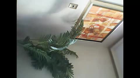 manu_481 online show from 03/07/25, 06:54