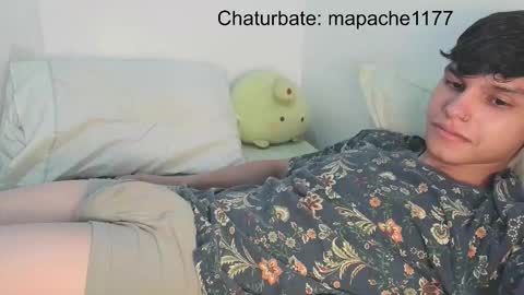 Snapshot of mapache1177 chatting on 02/24/26, 06:00 mapache1177 online show from 02/24/26, 06:00