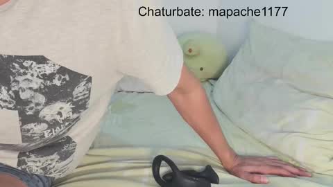 Snapshot of mapache1177 chatting on 03/04/26, 10:05 mapache1177 online show from 03/04/26, 10:05