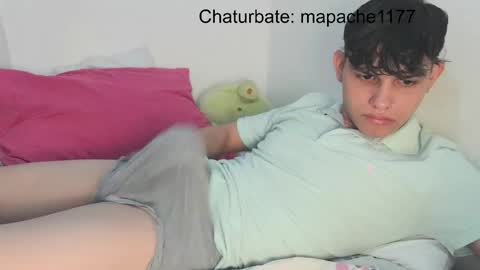 Snapshot of mapache1177 chatting on 04/24/26, 11:18 mapache1177 online show from 04/24/26, 11:18