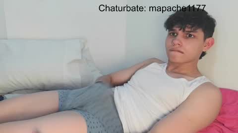 Snapshot of mapache1177 chatting on 05/08/26, 11:54 mapache1177 online show from 05/08/26, 11:54