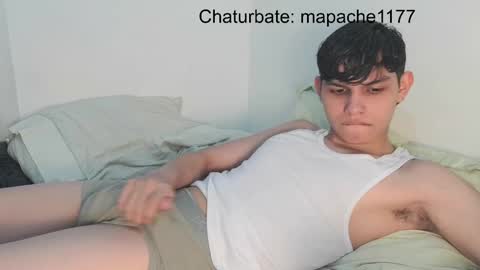 Snapshot of mapache1177 chatting on 05/16/26, 03:36 mapache1177 online show from 05/16/26, 03:36