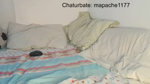 Snapshot of mapache1177 chatting on 05/21/26, 06:59 mapache1177 online show from 05/21/26, 06:59