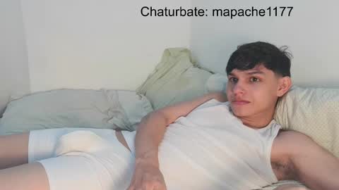 Snapshot of mapache1177 chatting on 05/23/26, 07:40 mapache1177 online show from 05/23/26, 07:40