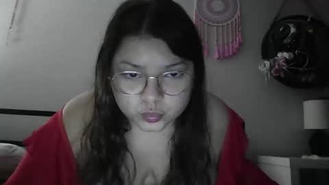 Snapshot of mapleless chatting on 11/04/25, 05:50 mapleless online show from 11/04/25, 05:50