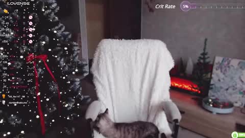 Marcy online show from 12/05/24, 06:10