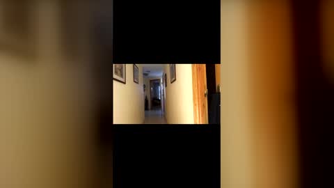 marcos260526 online show from 02/01/26, 03:43