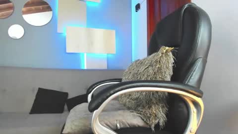 Snapshot of marcus_jax1 chatting on 02/14/25, 04:37 Marcus Jax1 online show from 02/14/25, 04:37