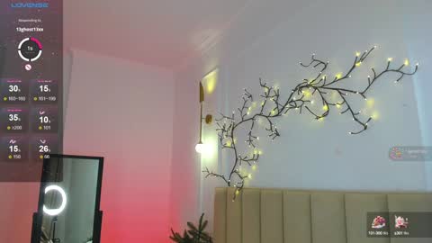 Snapshot of mari_nett chatting on 12/27/24, 11:53 mari_nett online show from 12/27/24, 11:53