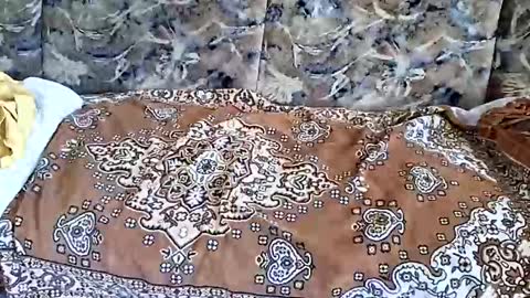 marian20242025 online show from 11/01/25, 07:10