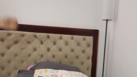 Antonia online show from 10/04/25, 06:17