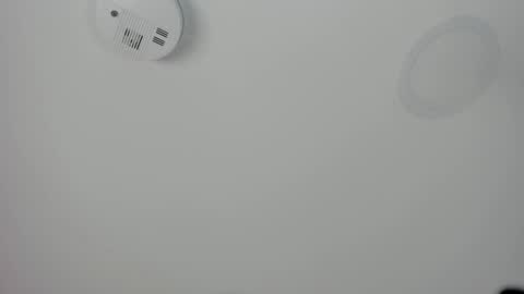 Maria Pettit online show from 03/08/26, 12:53