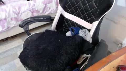 Marilyn  online show from 02/26/25, 08:44