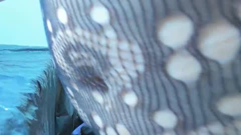 Snapshot of marilynwett chatting on 03/21/26, 01:54 marilynwett online show from 03/21/26, 01:54