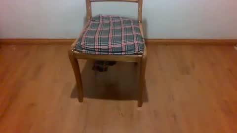 Maripaula369 online show from 02/22/25, 03:23