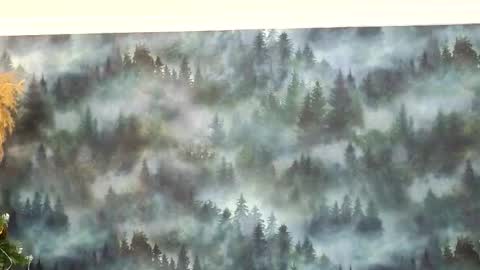 markshot_ online show from 12/14/25, 10:58