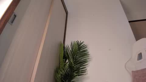 Snapshot of markus_blass chatting on 12/13/24, 12:42 markus... Y online show from 12/13/24, 12:42