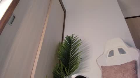 Snapshot of markus_blass chatting on 12/29/24, 01:24 markus... Y online show from 12/29/24, 01:24