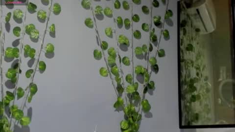 marly online show from 02/26/25, 03:10