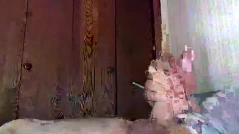 Snapshot of marmiles58 chatting on 09/20/25, 09:38 marmiles58 online show from 09/20/25, 09:38