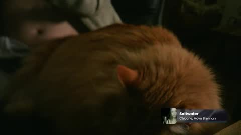 Snapshot of marnieccc chatting on 02/21/26, 04:35 marnieccc online show from 02/21/26, 04:35