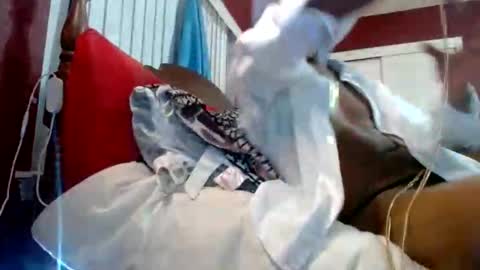 Reparations for the departed online show from 10/18/25, 06:58