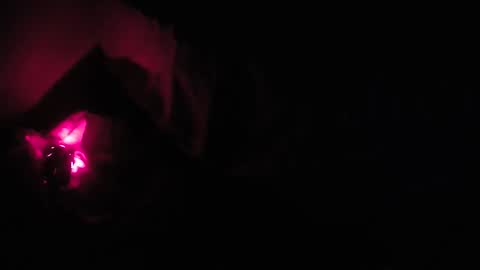 martamoontrans online show from 10/08/25, 01:25