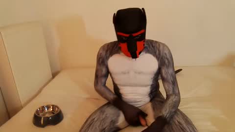 martin_ni online show from 02/14/25, 11:53