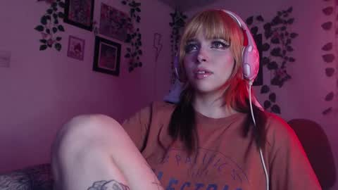                      100   online show from 12/19/24, 09:07