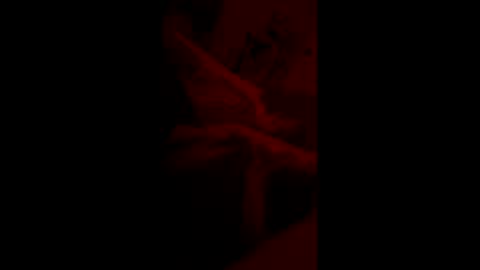 mas62491 online show from 11/19/25, 10:59