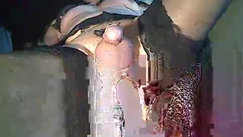 Snapshot of maschpro chatting on 12/26/24, 02:37 maschpro online show from 12/26/24, 02:37