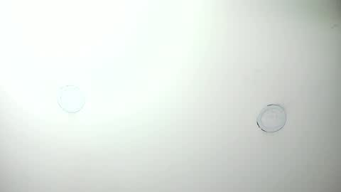 Snapshot of mashapink chatting on 04/07/26, 12:38 MashaPink online show from 04/07/26, 12:38