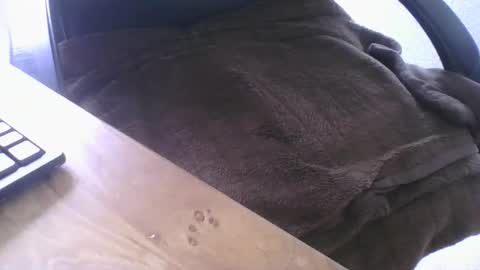 maskime59 online show from 02/21/26, 01:45