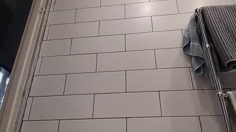 Bob online show from 10/14/25, 08:15