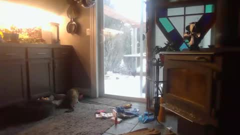 Snapshot of masterdurt chatting on 02/15/25, 02:22 The Big Duurty online show from 02/15/25, 02:22