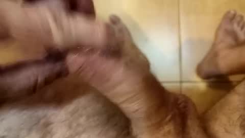 Snapshot of mastmachine87 chatting on 10/16/25, 03:13 Chriss online show from 10/16/25, 03:13