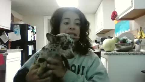 Mastress Luna online show from 11/21/25, 09:24