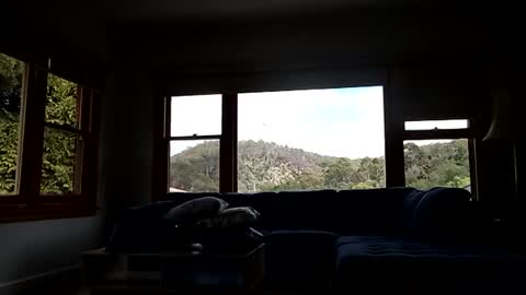 Snapshot of mattlesnake_101 chatting on 02/15/26, 12:40 mattlesnake_101 online show from 02/15/26, 12:40