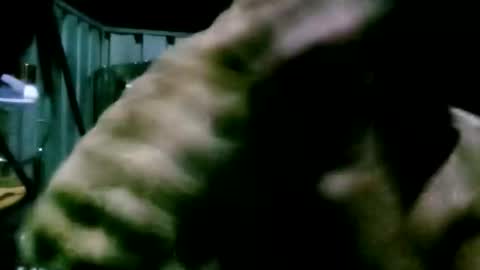 Snapshot of mattlesnake_101 chatting on 04/18/26, 05:50 mattlesnake_101 online show from 04/18/26, 05:50