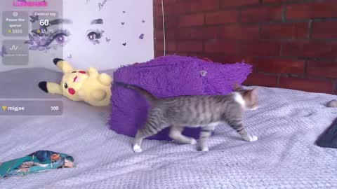 Mature liaa online show from 11/19/25, 03:34