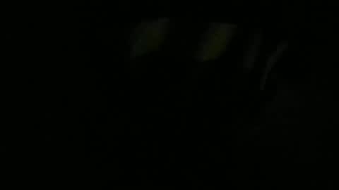 Lira online show from 01/13/26, 11:04